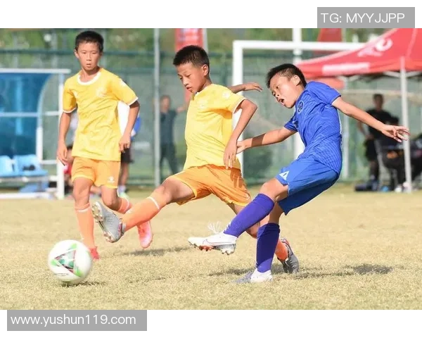 足球瓦尔的崛起与挑战：探索新时代足球的魅力与竞争格局